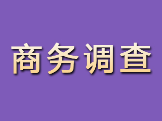 阜康商务调查